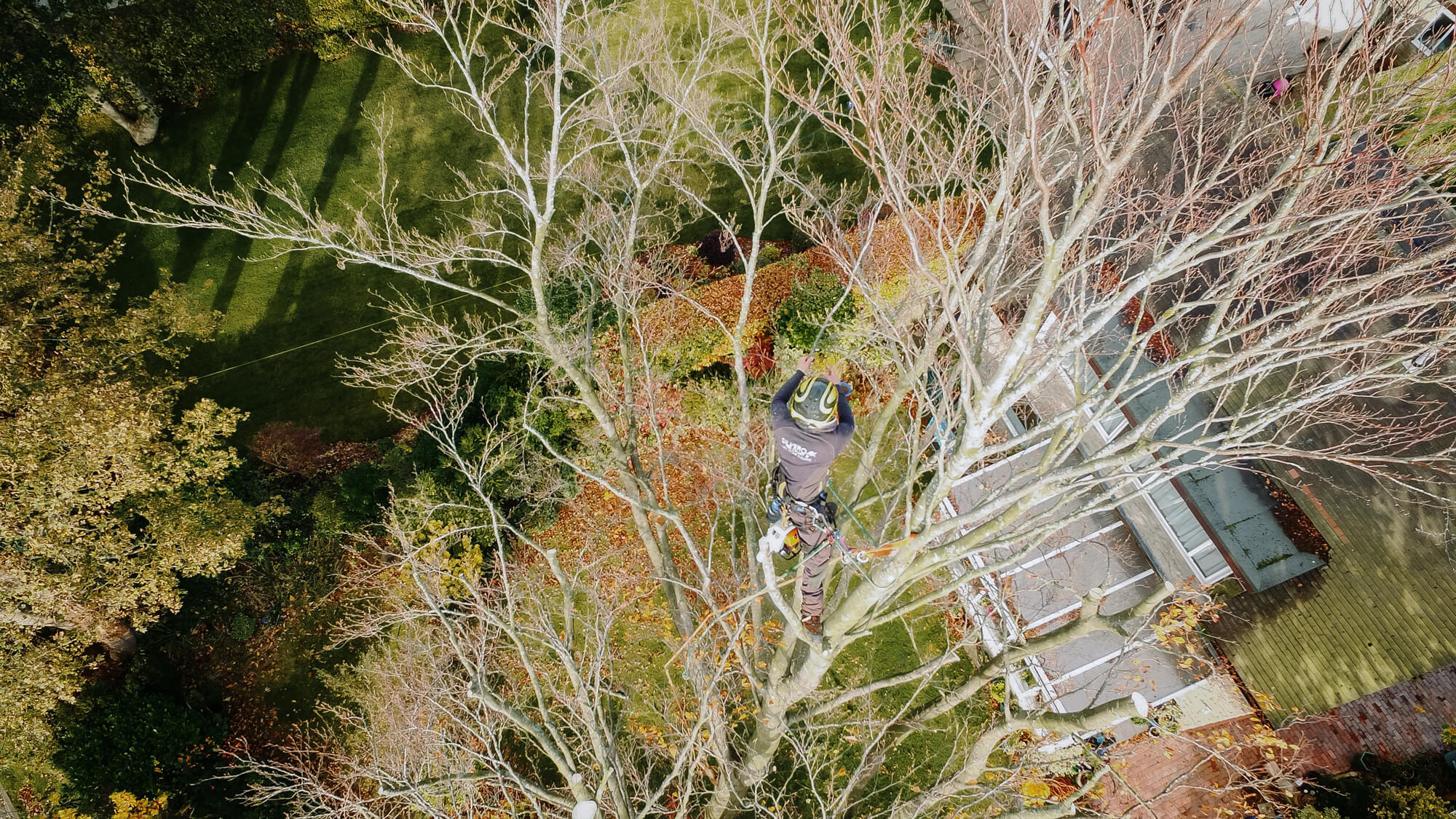 An aerial photo of a Tree Surgeon working in Dore in Sheffield