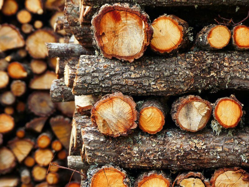 Create a log pile for wildlife