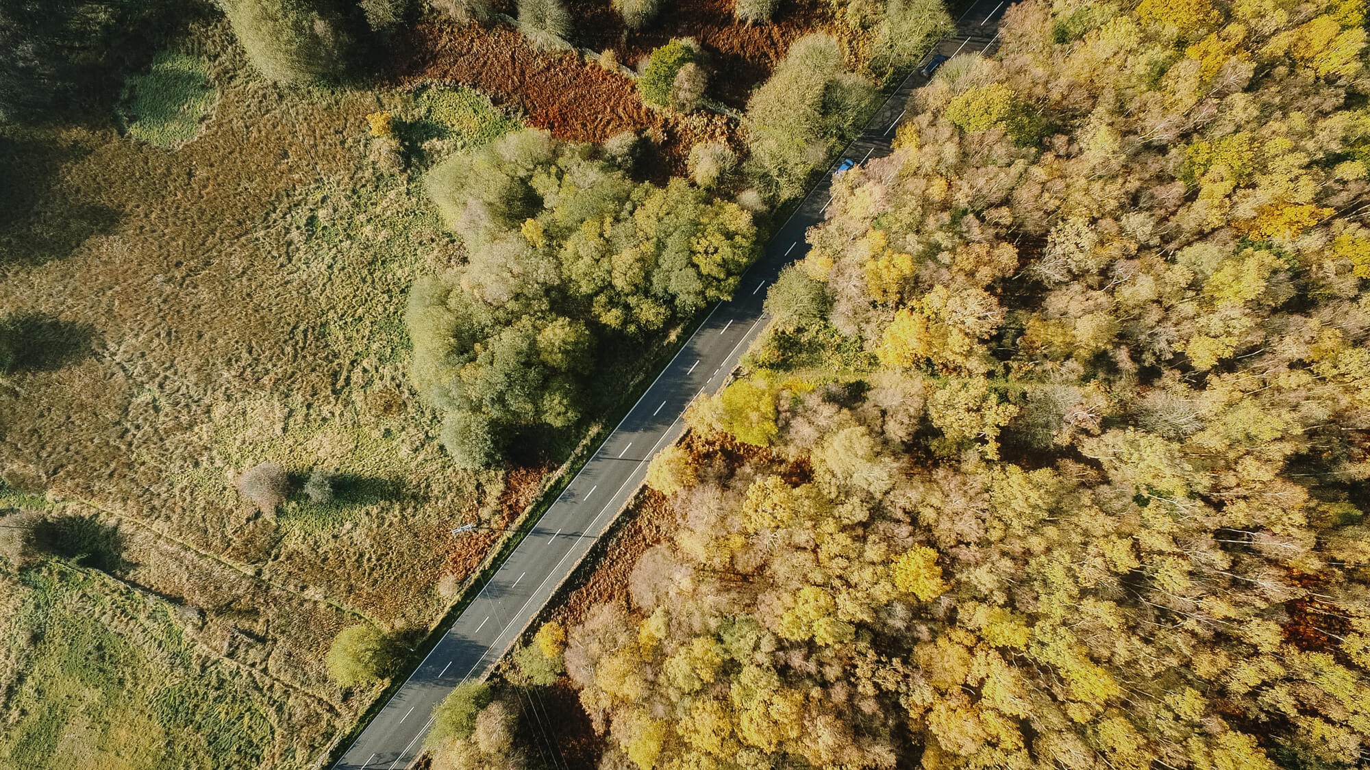 An aerial shot of the A57 of trees - Tree Surgeons and Arborists